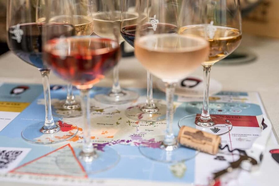 Wine Tasting: Tour de France in City Center of Nice - Who This Is Best For (and Who Might Skip It)